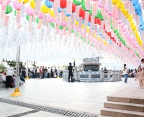 부처님오신날 (144).JPG
